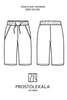 Pattern 2004 men's shorts