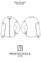 Pattern 3120 embroidered blouse for women