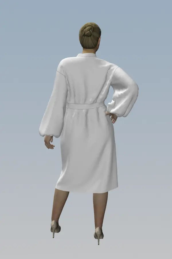 Pattern 3017 Dress for Women