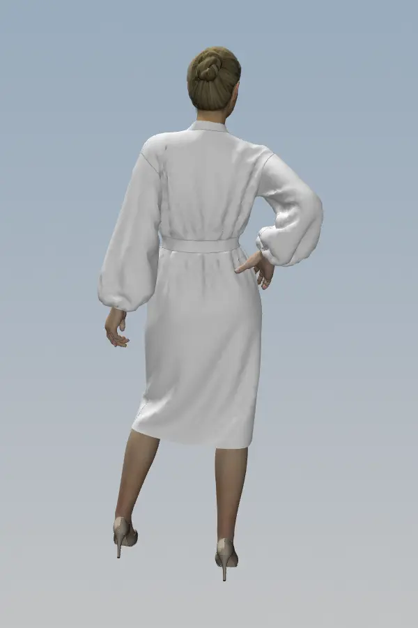 Pattern 3017 Dress for Women